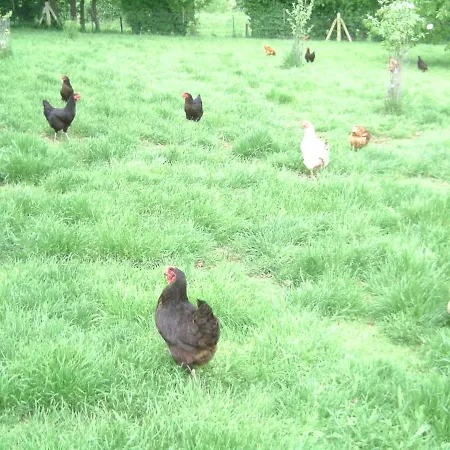 Maison d'hôtes D'hotes De La Mousse