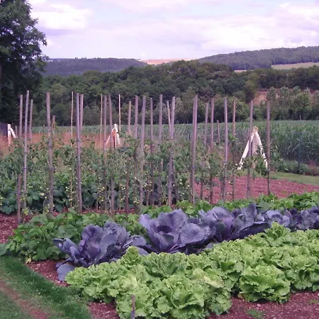 D'hotes De La Mousse ゲストハウス Saint Remy sur Orne