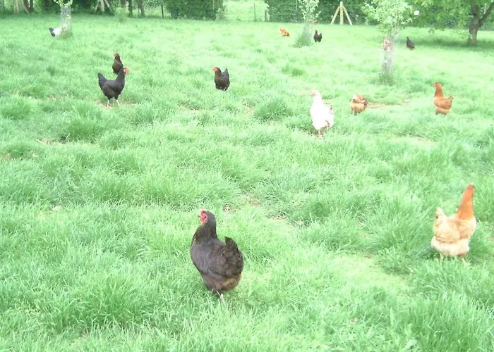 招待所 D'hotes De La Mousse