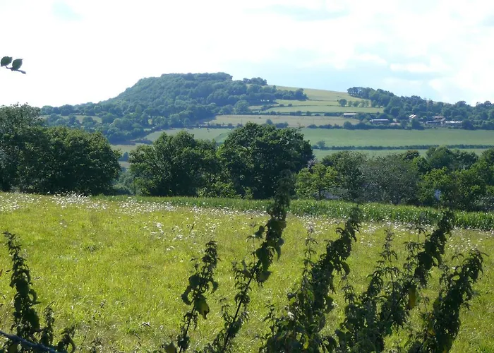 招待所 D'hotes De La Mousse 3*