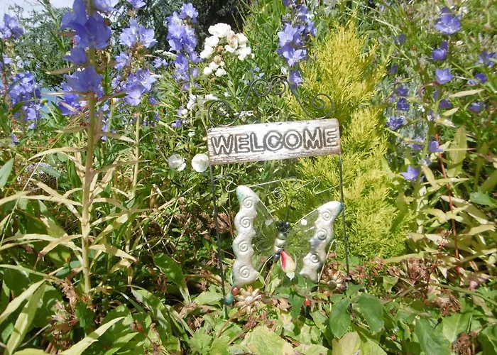 招待所 D'hotes De La Mousse 3*