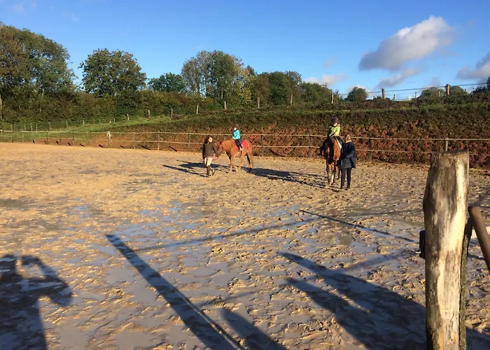 D'hotes De La Mousse 3* Saint Remy sur Orne