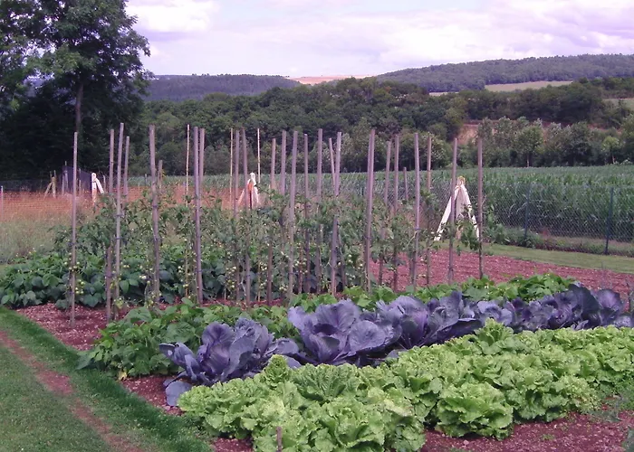 D'hotes De La Mousse 招待所 Saint Remy sur Orne