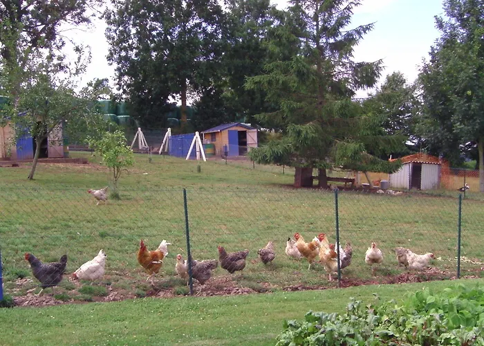 D'hotes De La Mousse