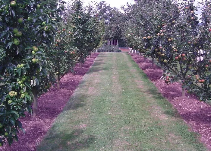 D'hotes De La Mousse 招待所