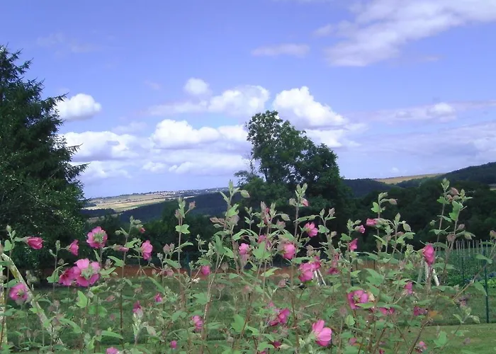 D'hotes De La Mousse 3* Saint Remy sur Orne